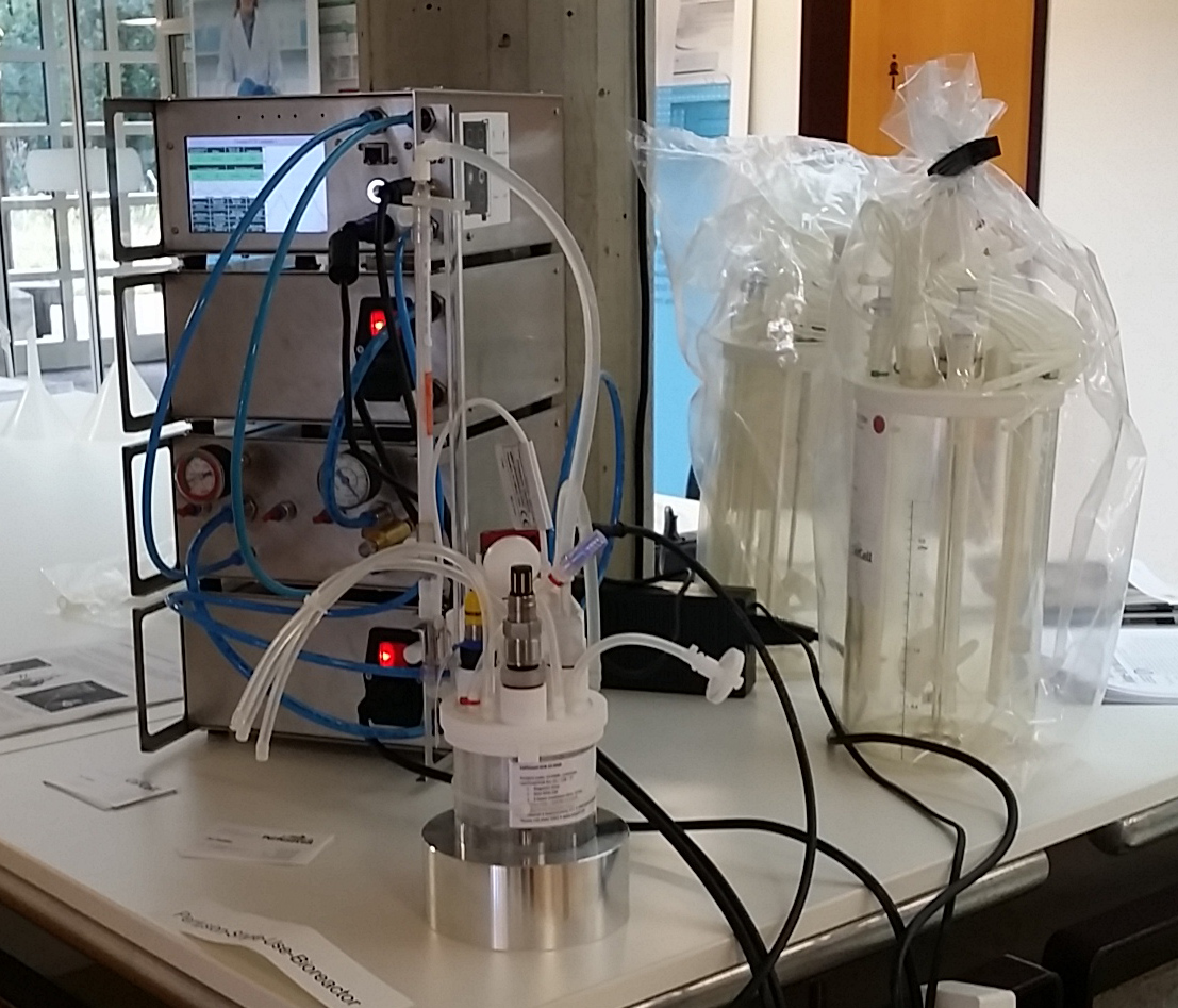 2016-09-06 09.18.16.jpg