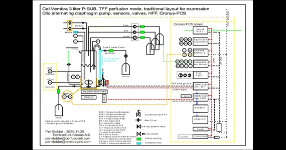 P SUB 3 TFF HFF+Cronus