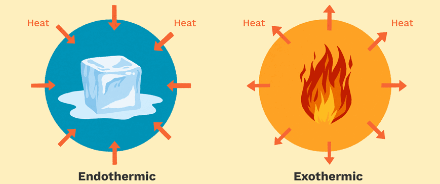 Endothermic exothermic